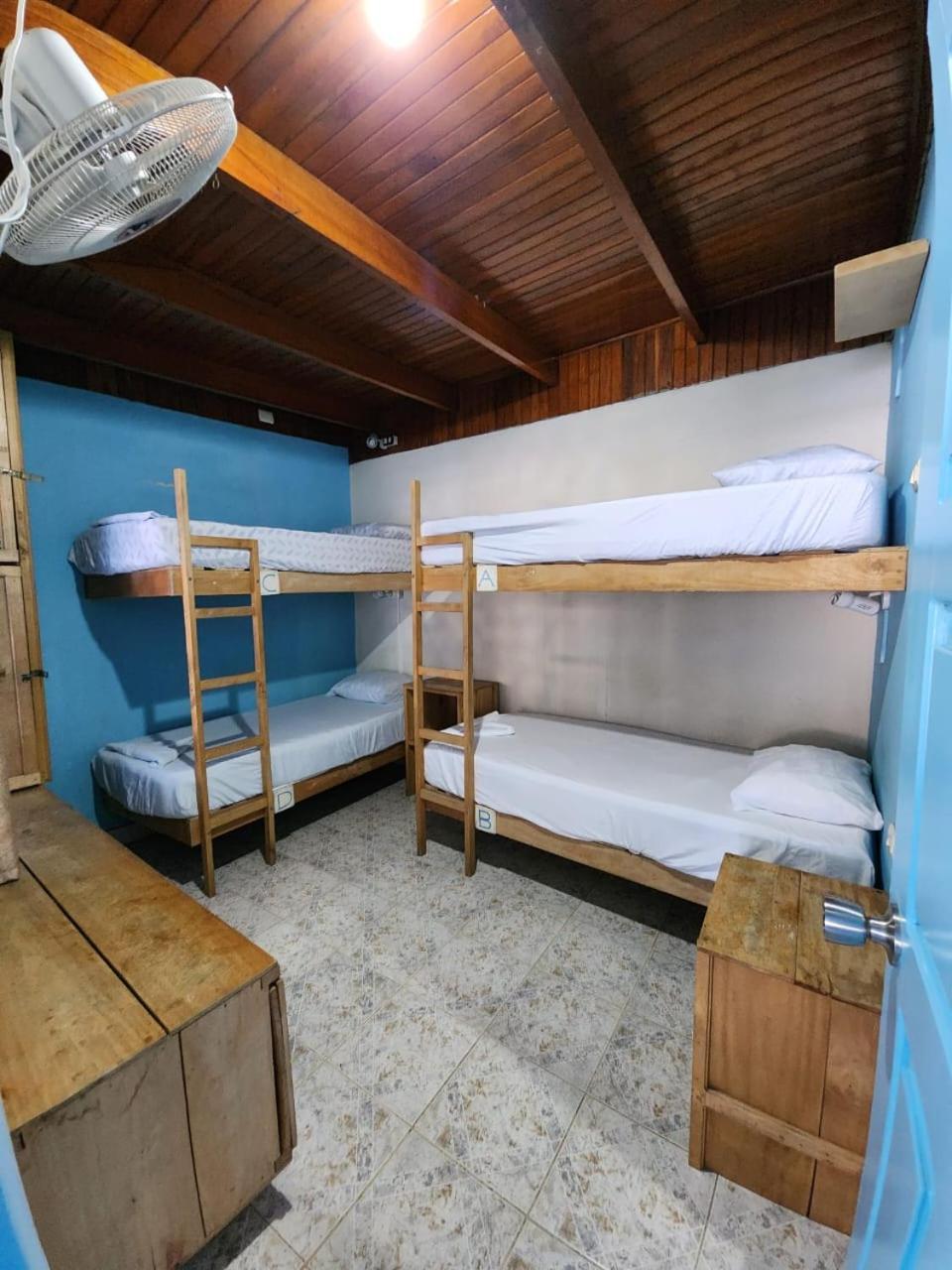 Hostel Sámara מראה חיצוני תמונה
